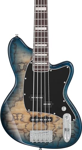 Ibanez Bass guitar / TMB405TACBS Standard