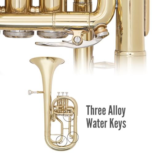 ODYSSEY Bocina de tenor Debut Eb con funda
