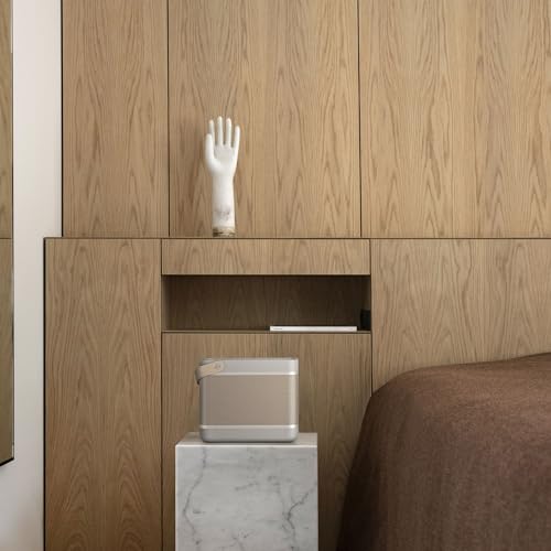 Bang & Olufsen Beolit 20 Potente Altavoz Bluetooth Inalámbrico Portátil para Uso en Casa y Exteriores con Sonido de 360 Grados y Cargador Inalámbrico Qi Integrado para Teléfono Grey Mist