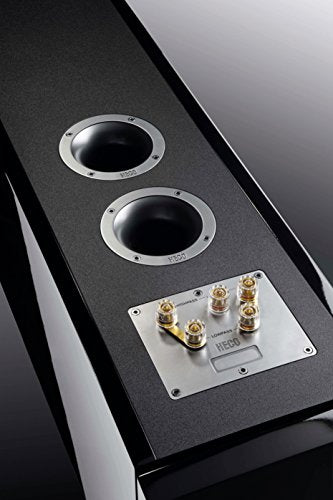 Heco GT 602 - Altavoz de suelo (27 Hz - 42 kHz, 180 W - 320 W, 91 dB), color negro