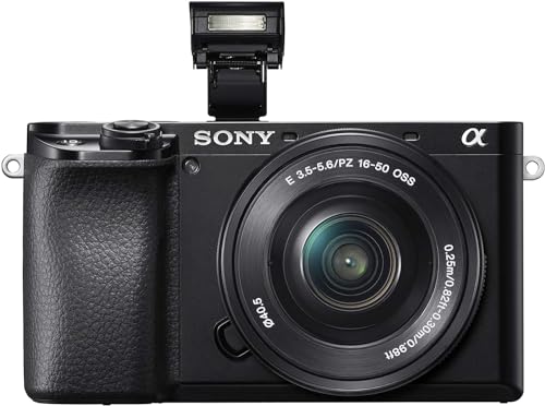 Sony ILCE6100AKB.CEC Alpha 6100 Cámara Evil APS-C con Objetivo Zoom Potente, Color Negro, Cargador Incluido, Sin Tarjeta