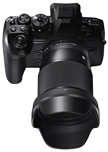 Sigma 16 mm F1.4 DC DN Contemporary - Objetivo para cámaras con montura Sony-E, Micro 4/3 y Canon EF-M, color negro