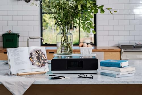 Roberts Stream 67 Systeme Todo en Uno Altavoz Conectado Gris Plata