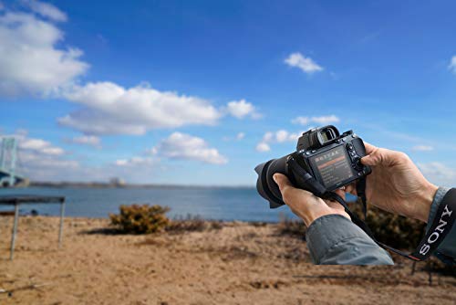 Sony Alpha 7 III - Cámara evil de fotograma completo (Enfoque automático rápido 0.02s, estabilización de imagen óptica de 5 ejes, 4K HLG, mayor duración de batería), Color negro