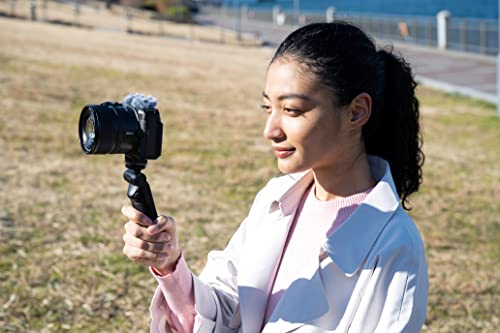 Nikon Objetivo NIKKOR A DX 12-28MM PZ VR