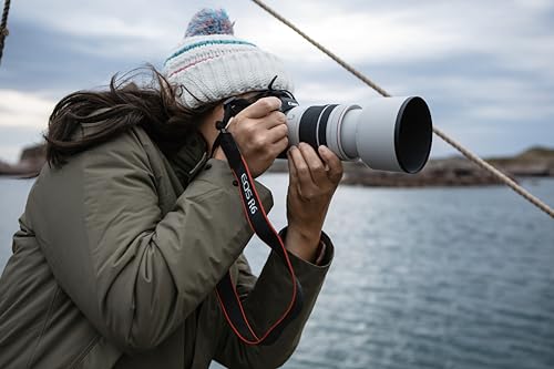 Canon Objetivo RF 70-200mm F4L IS USM - Lente Zoom Teleobjetivo Serie L, F4 Constante, Ligero y Hermético, Enfoque AF de Motores USM y estabizador óptico 5 Pasos, Compatible con Sistema EOS R, Negro