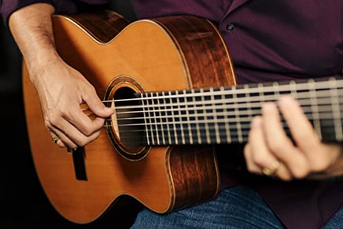 ORTEGA Performer Series Classical Guitar 44 8 String Cedro natural y funda RCE159-8