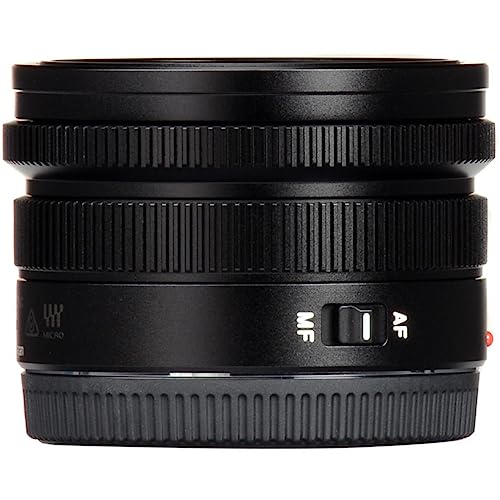 Panasonic Lumix G Objetivo Leica DG Summilux, 15 mm, f1.7 ASPH., Profesional sin Espejo Micro Cuatro Tercios, h-x015 (EE. UU.), Color Negro