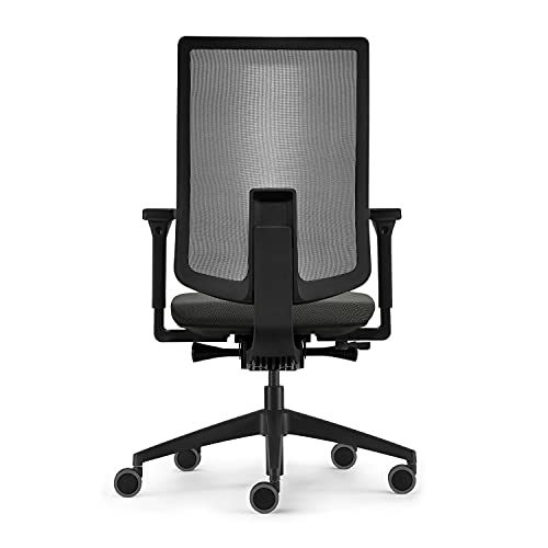 Sedus, Se:do Pro Light 2 - Silla de Oficina ergonómica con Membrana de Malla, Color Antracita, Altura Regulable