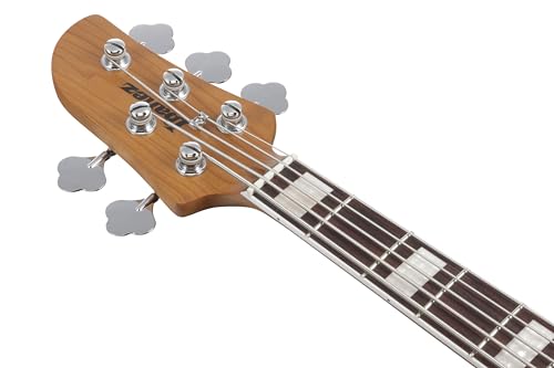 Ibanez Bass guitar / TMB405TACBS Standard