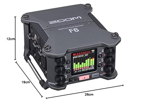 Zoom 316305 F6 Grabadora de audio, color negro