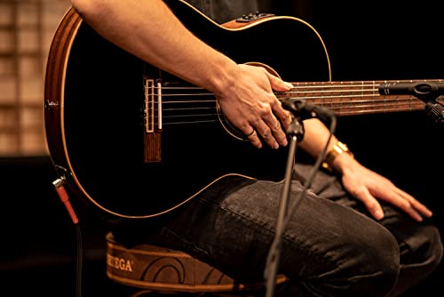 NYLON 6-STR. GUITAR ORTEGA