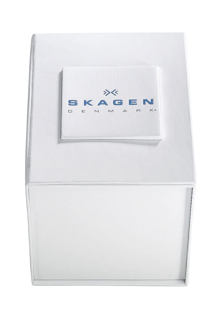 Skagen Reloj Sundby Titanium para Hombre, movimiento de cuarzo a tres agujas con Correa de Acero Inoxidable o piel, 37 mm, Gris Y Azul