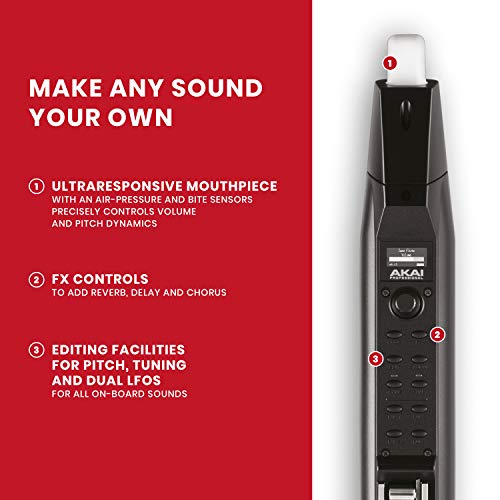 AKAI Professional EWI Solo - instrumento electrónico de viento con altavoz incorporado, batería recargable, 200 sonidos y conectividad MIDI USB