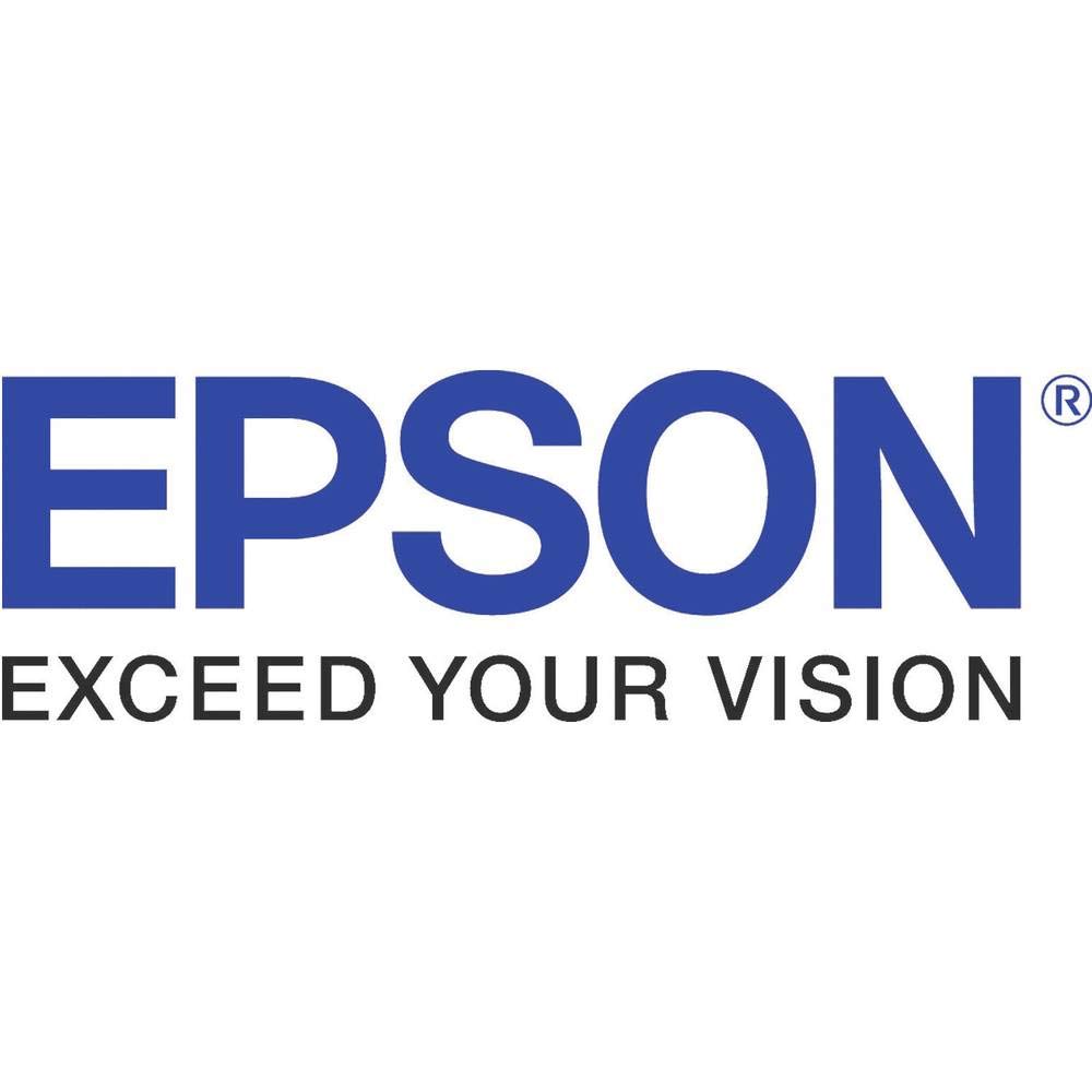 Epson T04874010 - Cartucho de tinta multicolor (6 colores)