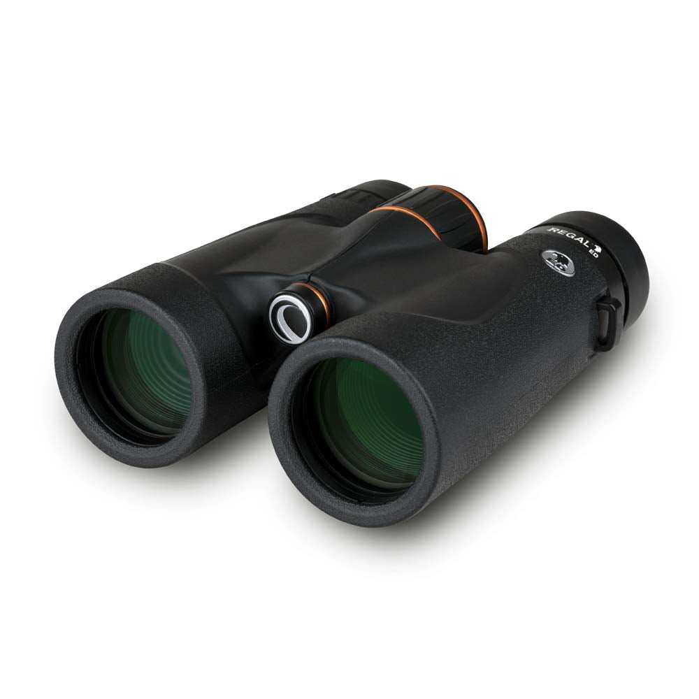 Celestron 71391 Regal ED 10x42: prismáticos para observar Aves y para Exteriores, prismas BaK–4 con Revestimiento de Fase y dieléctrico, óptica Completamente revestida, Foco cercano de 3 m