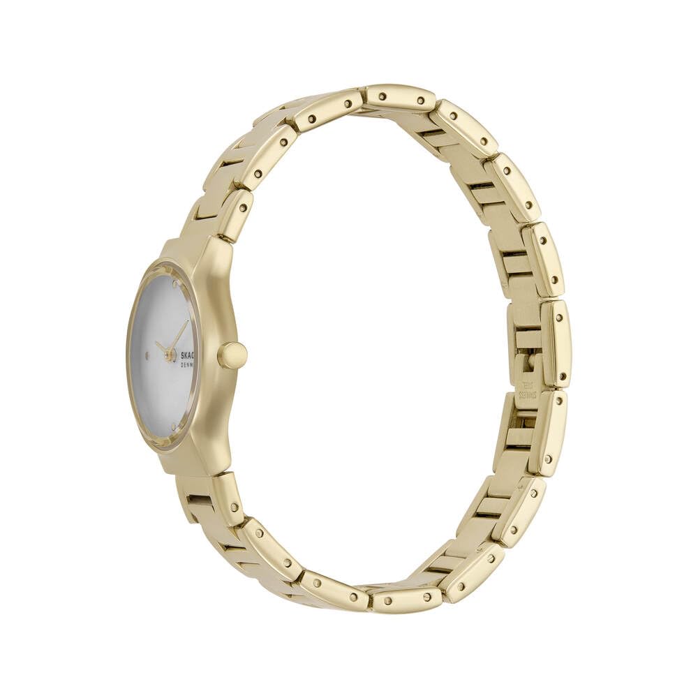 Skagen Reloj Analógico para Mujer de Cuarzo con Correa en Acero Inoxidable SKW3167
