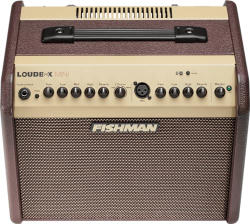 FISHMAN Verstärker Loudbox Mini, 60W, Bluetooth, 305 x 349 x 247mm, 8,90 kg