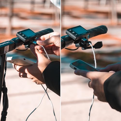 smartGyro Speedway - Patinete Eléctrico de 48V, 800W Pot. Máxima, Batería 13Ah, Autonomía 50 Km, Ruedas de 10 inches Dual Grip, Suspensiones, Triple Frenada, Certificado DGT, Segunda Generación