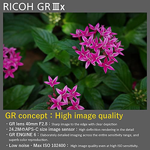 RICOH Digitales Compactas Marca Modelo GR III X