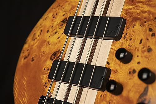 CORT A5 Plus SC (Regular Scale)