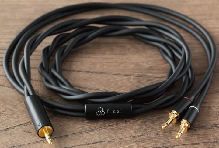 Final Audio D8000 - Auriculares magnéticos Planos