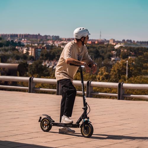 smartGyro Z-PRO Black Patinete Eléctrico de 36V, 600W de Potencia Máxima, Batería de 10Ah, Autonomía 40 Km, Ruedas de 10 inches, Suspensiones, Triple Frenada, App, Certificado DGT, Segunda Generación