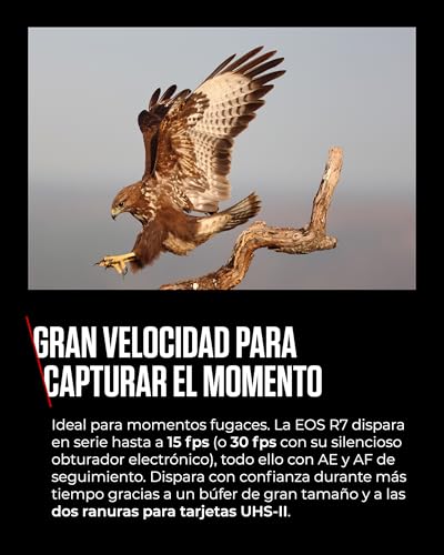 CANON EOS R7 Cámara Mirrorless Body, Cámara EVIL APS-C (32,5 MP) -5 EV, Vídeo 4K 60 fps, Dual Pixel CMOS AF II, Pantalla Táctil de Ángulo Variable, Negro