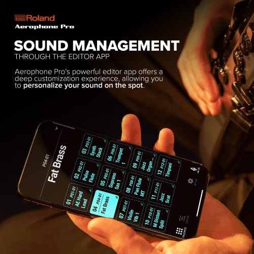 Roland AE-30 Aerophone Pro - Instrumento de viento digital profesional con sistema de síntesis ZEN-Core y sonidos natural, digitación de saxofón tradicional, Bluetooth