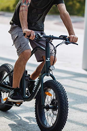 Nilox 30NXEB203V003V2 - Bicicleta eléctrica E Bike 36V 7.8AH 20X4P - J3, Motor 36 V 250 W, batería Recargable de Litio 36 V 8 Ah, Carga Completa 4 h, chasis Aluminio, Velocidad máxima 25 km/h