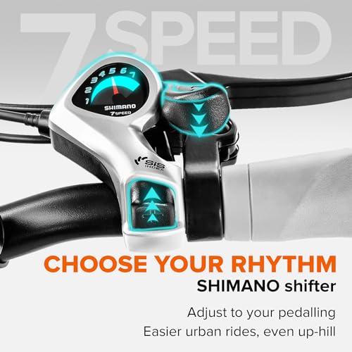 Argento AR-BI-210001 Eléctrico Bicicleta, Adultos Unisex, Talla única