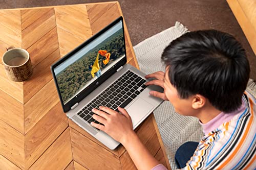 HP Chromebook x360, Touch/14 Pulgadas Full HD Antideslumbrante Inteligente IPS, Intel PENTIUM N5030 (Gemini Lake R), 4GB RAM, 64 GB eMMC, Chrome OS, 14a-ca0260nd, Plata