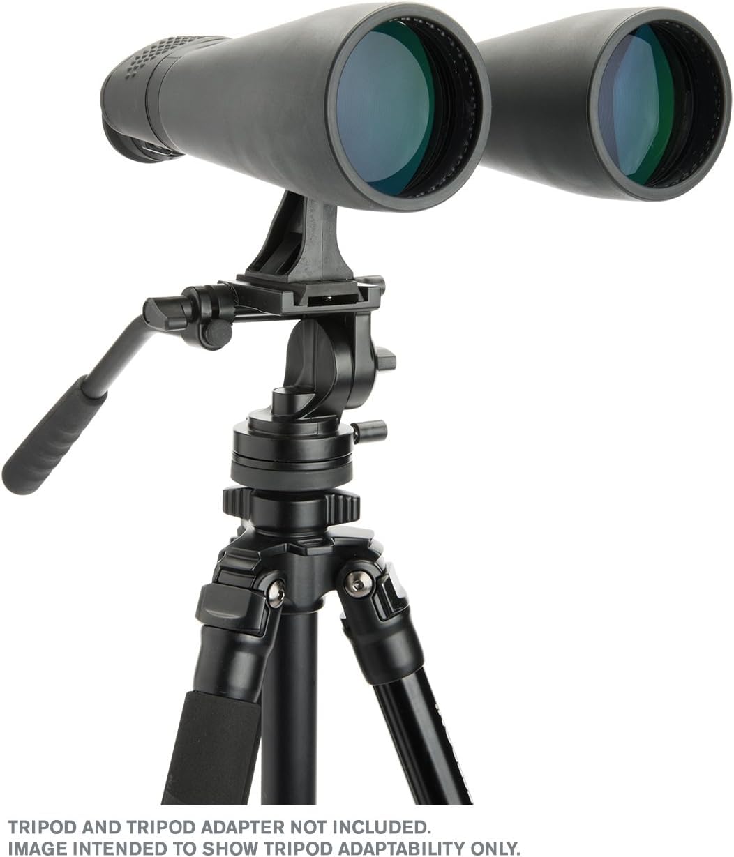Celestron 71008 SkyMaster25x70mm Prismáticos Porro con Lente Multicapa, Cristal de Prisma Bak-4 y Funda de Soporte,Negro