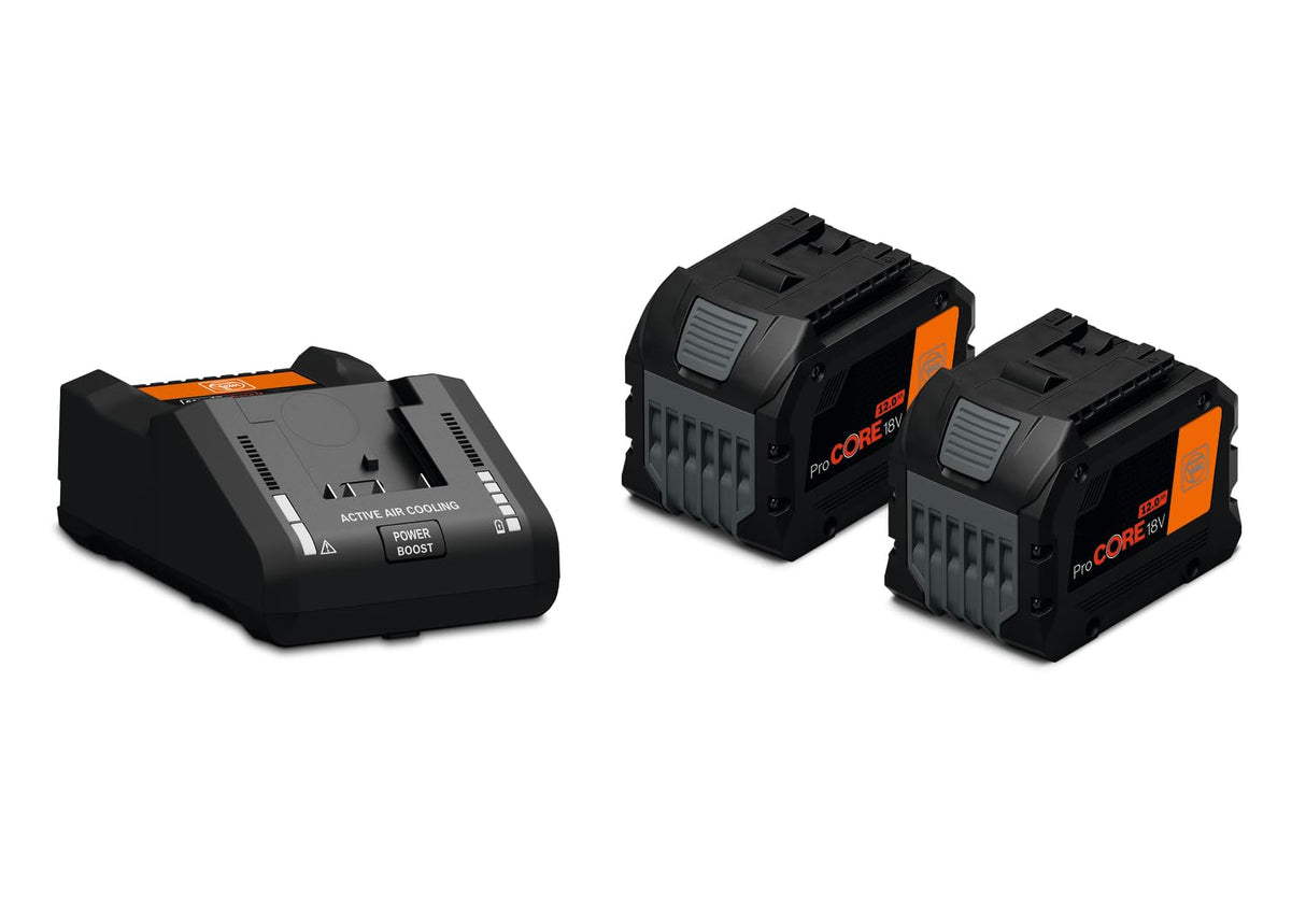 FEIN | Set de inicio baterías ProCORE 18V 12,0Ah AS, 2 baterías de iones de litio con cargador rápido GAL 18V-160, celdas HighPower, modo de carga Power Boost, dispositivo para montaje en la pared