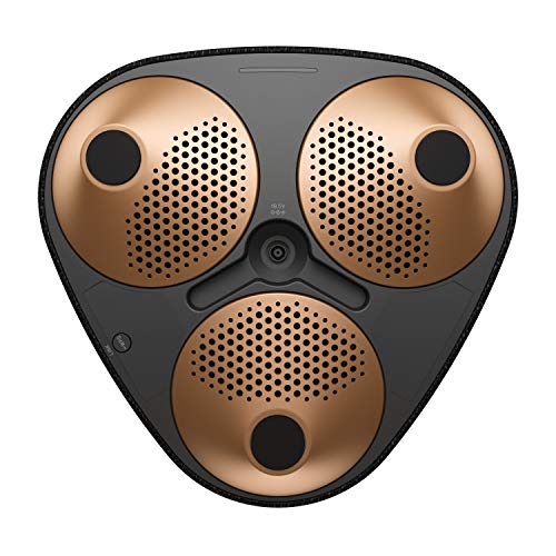 Sony SRS-RA5000 - Altavoz Doméstico Inalámbrico con Sonido Envolvente, Compatible con Alexa, Negro