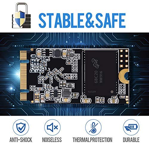 Dogfish m.2 2242 1TB Ngff Unidad De Estado Sólido Incorporada Altura de Alta Velocidad Unidad de Disco Duro de Alto Rendimiento para computadora portátil de Escritorio(1TB, m.2 2242)