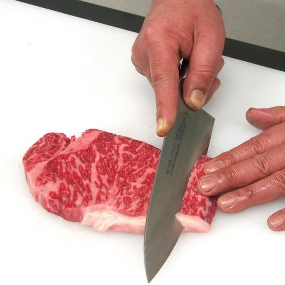 Zwilling Gyutoh - Cuchillo (Acero Inoxidable, Negro, Acero Inoxidable)