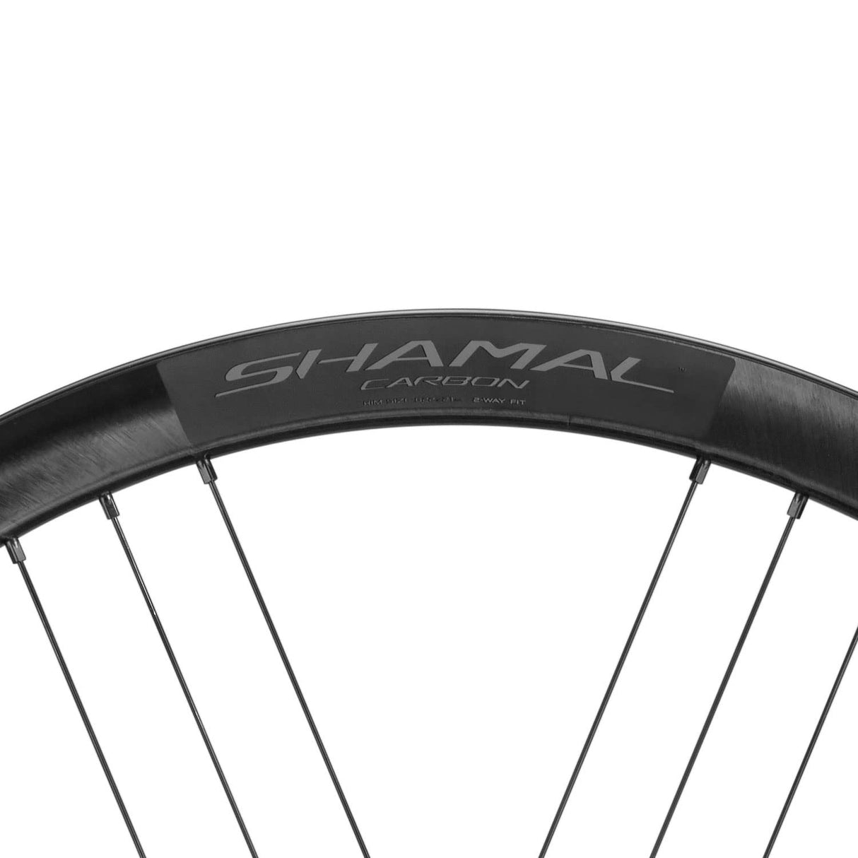CAMPAGNOLO Shamal Carbon C21-Freno de Disco de 2 vías sin cámara Rueda Delantera, Unisex, Etiqueta Oscura, 700c
