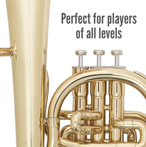 ODYSSEY Bocina de tenor Debut Eb con funda