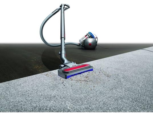 Dyson Big Ball Absolute 2 aspiradora