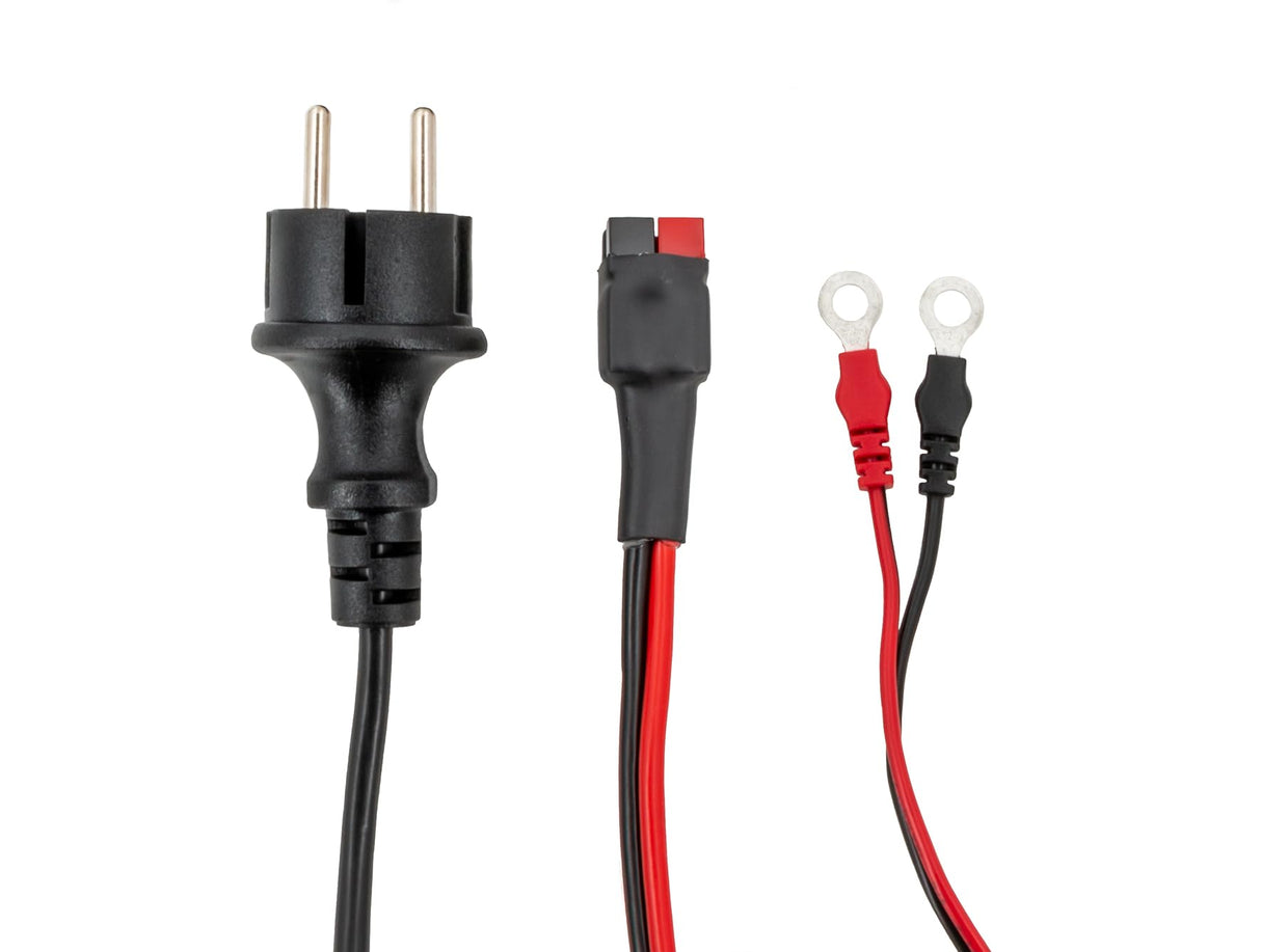 GYS GYSFLASH 10.36/48 PL 027060 - Cargador automático (36 V, 48 V)