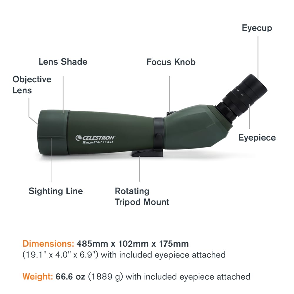 Celestron 52305 Regal M2 80ED: catalejo