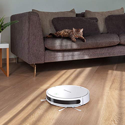 Rowenta X-plorer Serie 40 Animal Care RR7267 - Robot aspirador y fregasuelos, WiFi, especial pelo mascota, Alexa y Google Assistant, incluye mopa, cinta magnética, 3 modos, 150 min autonomía