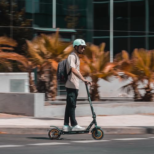 smartGyro Z-PRO Black Patinete Eléctrico de 36V, 600W de Potencia Máxima, Batería de 10Ah, Autonomía 40 Km, Ruedas de 10 inches, Suspensiones, Triple Frenada, App, Certificado DGT, Segunda Generación