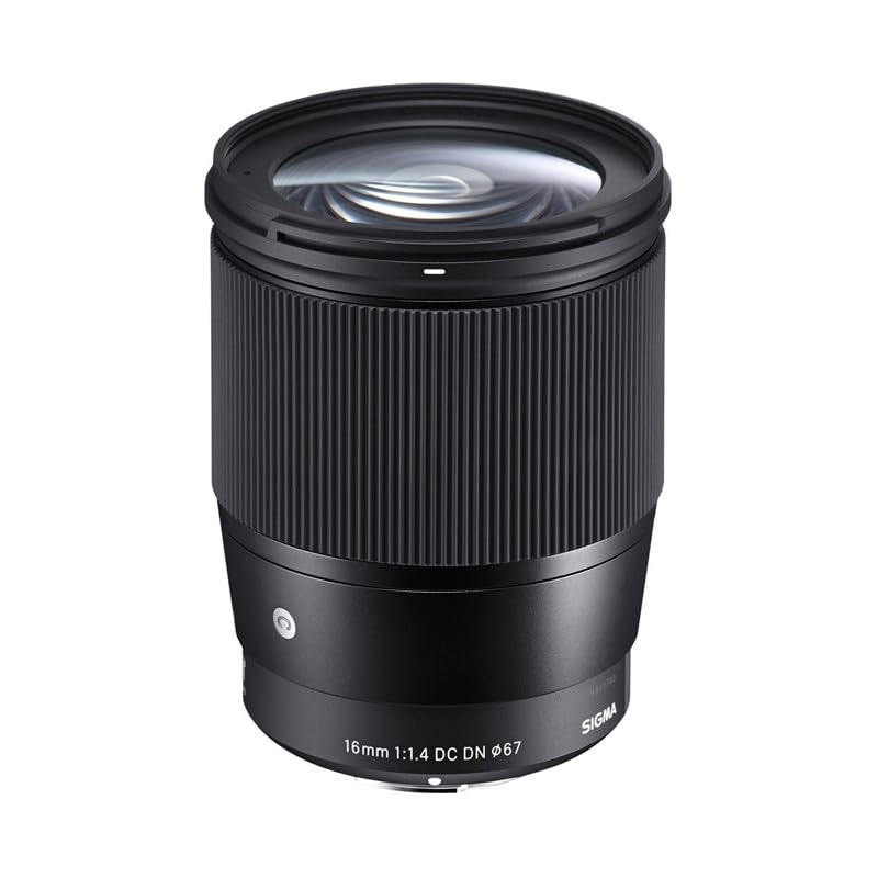 Sigma 16 mm F1.4 DC DN Contemporary - Objetivo para cámaras con montura Sony-E, Micro 4/3 y Canon EF-M, color negro