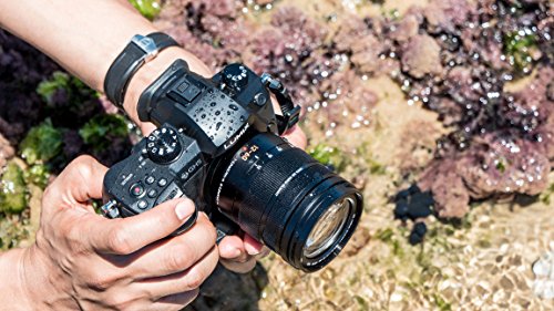 Panasonic Lumix GH5M | Cámara Híbrida Expert + Lente Lumix 12-60mm (Sensor 4/3 20MP, Doble Stab., Visor OLED, 4K60p/C4K24p 4:2:2 10bit, Tropicalizado) Negro - Versión Francesa