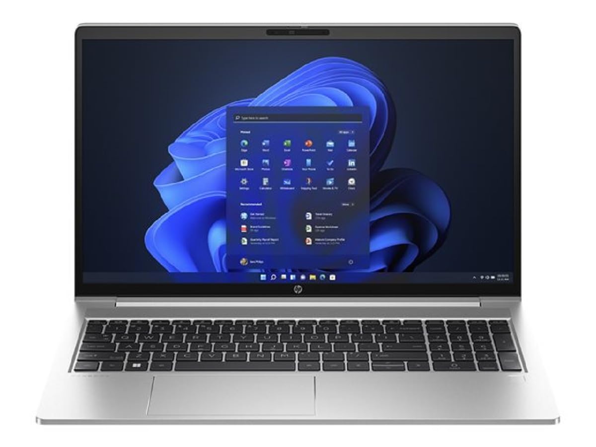 ProBook 455 G10 (816J4EA) (Silber, Windows 11 Pro, 1 TB SSD)