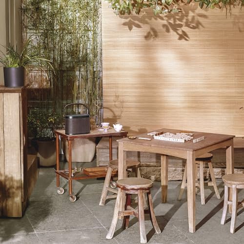 Bang & Olufsen Beosound A5 Potente Altavoz de Lujo Modular Bluetooth Portátil y WiFi para Uso en Casa o Exteriores con una Batería de Larga Duración y Cargador Inalámbrico Dark Oak