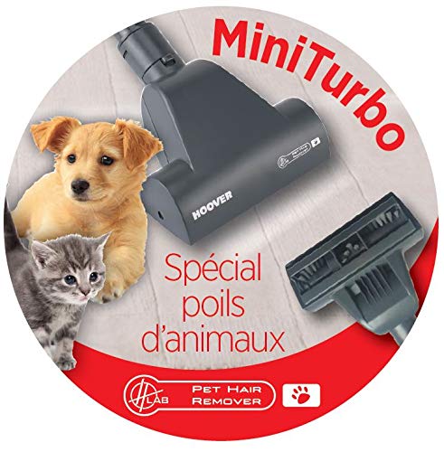 Hoover - Reactiv RC25 - Aspirador sin bolsa con filtro EPA, Especial para parquet y mascotas - Potencia 800W, Clase A, Color Rojo