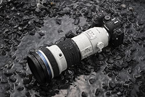 OM SYSTEM OM-1: cámara de Sistema Micro Four Thirds, Sensor Live Moc BSI apilado de 20 MP, AF de 1053 Puntos de Tipo Cruzado y estabilización de 5 Ejes